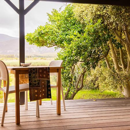 Springfontein River Lodge Stanford Exteriér fotografie