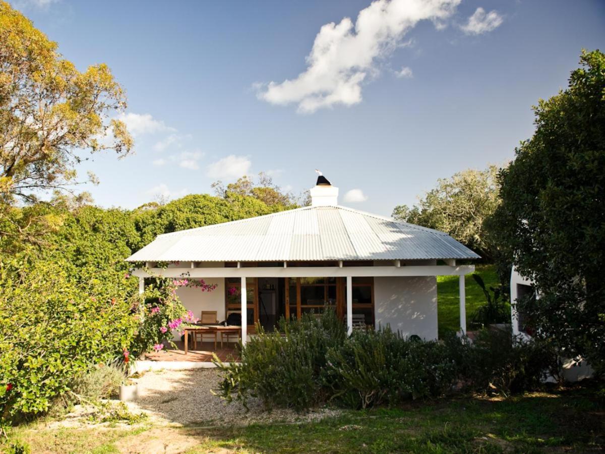 Springfontein River Lodge Stanford Exteriér fotografie