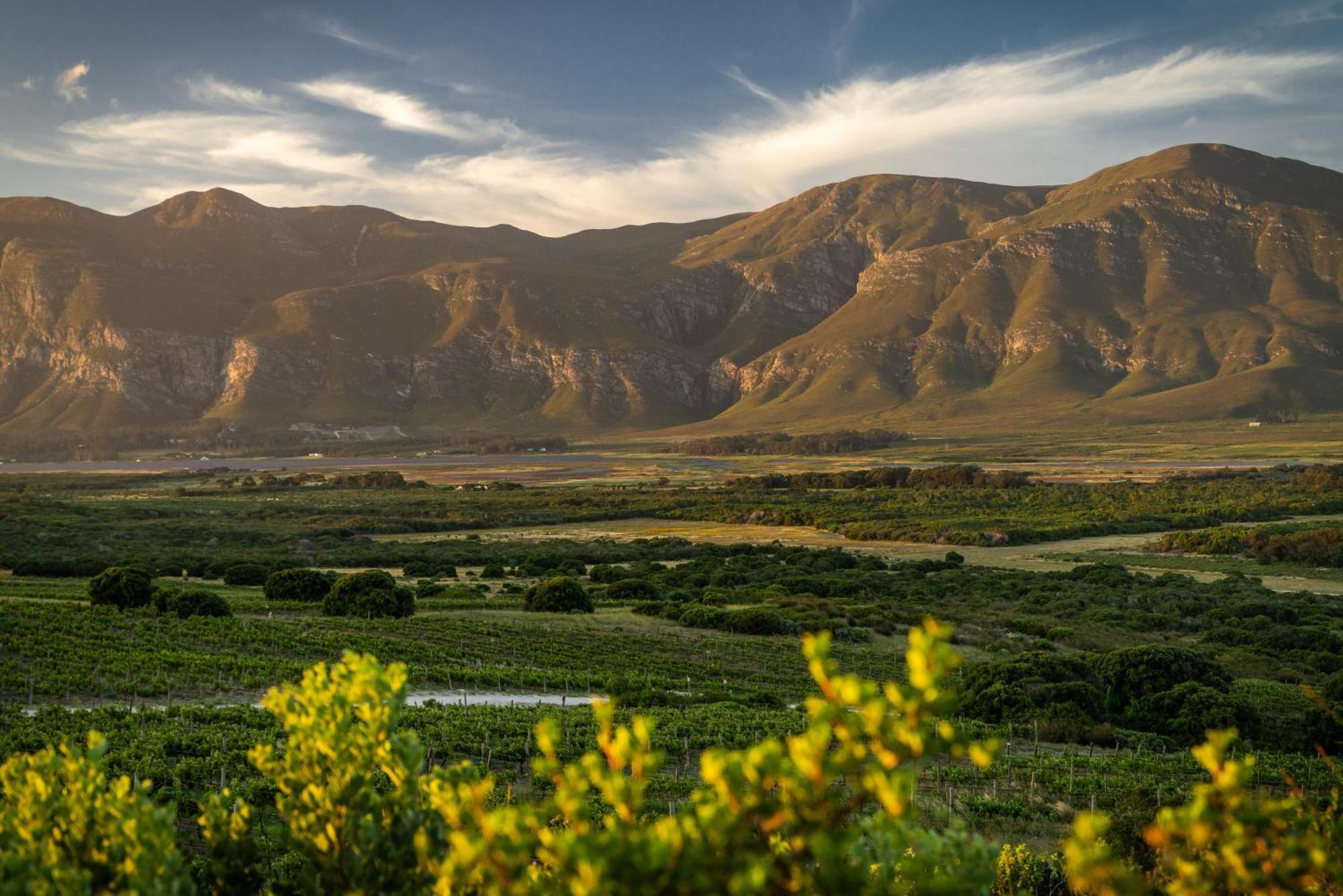 Springfontein River Lodge Stanford Exteriér fotografie