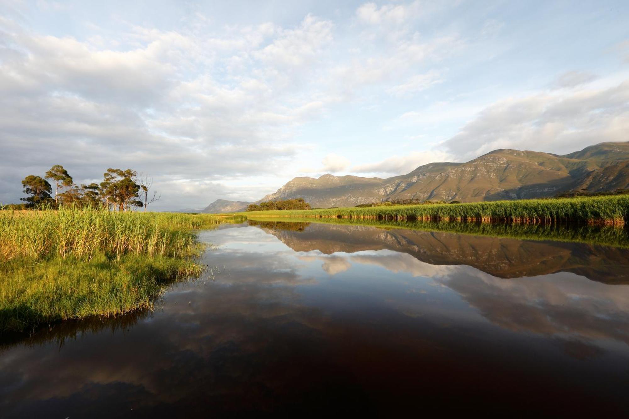Springfontein River Lodge Stanford Exteriér fotografie