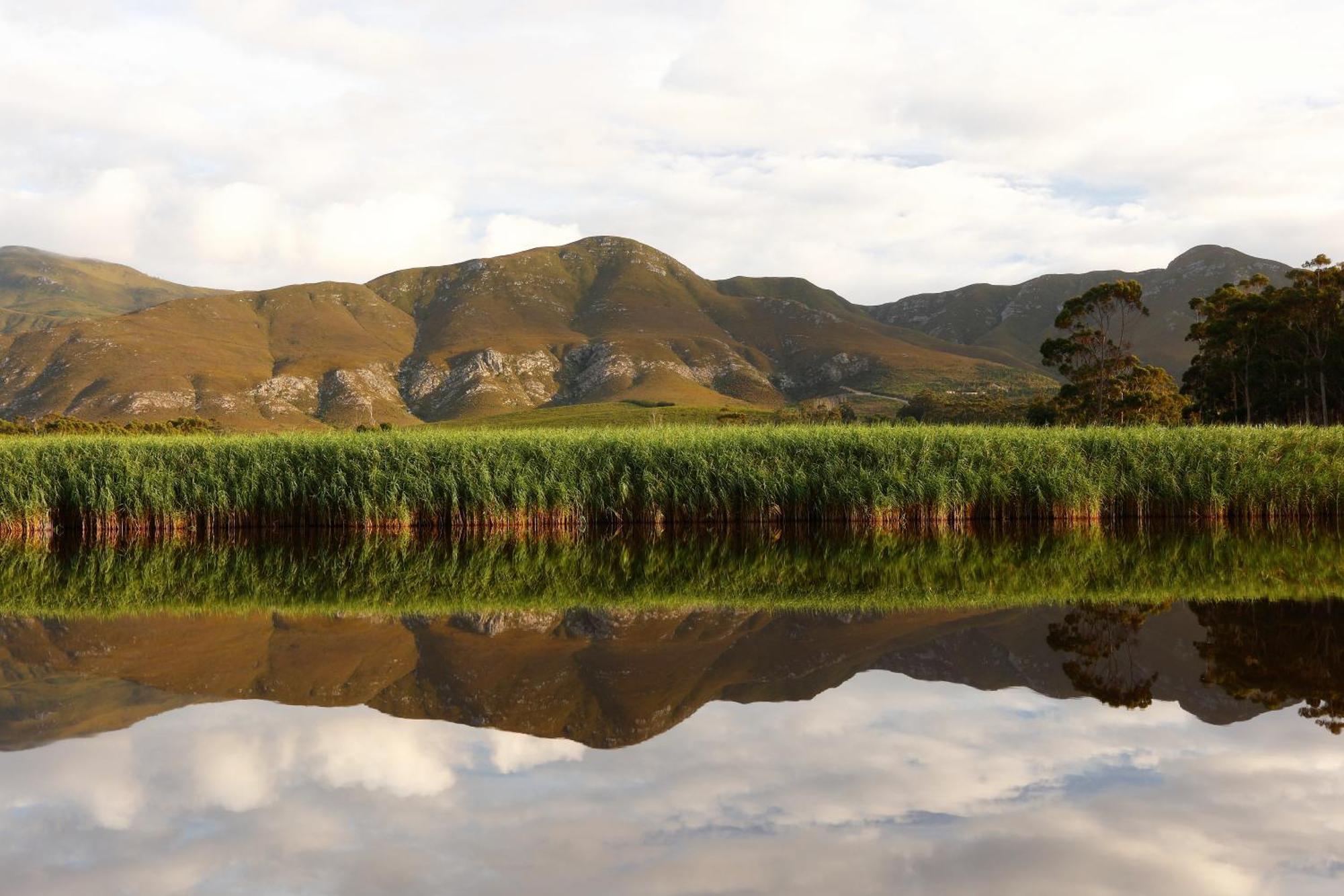 Springfontein River Lodge Stanford Exteriér fotografie